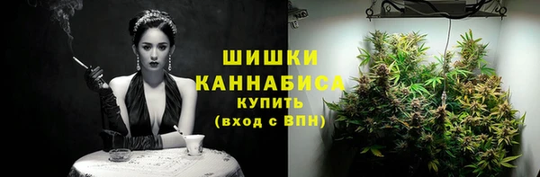 дмт Надым