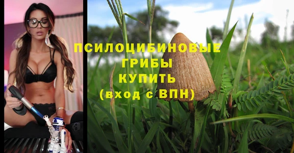 дмт Надым